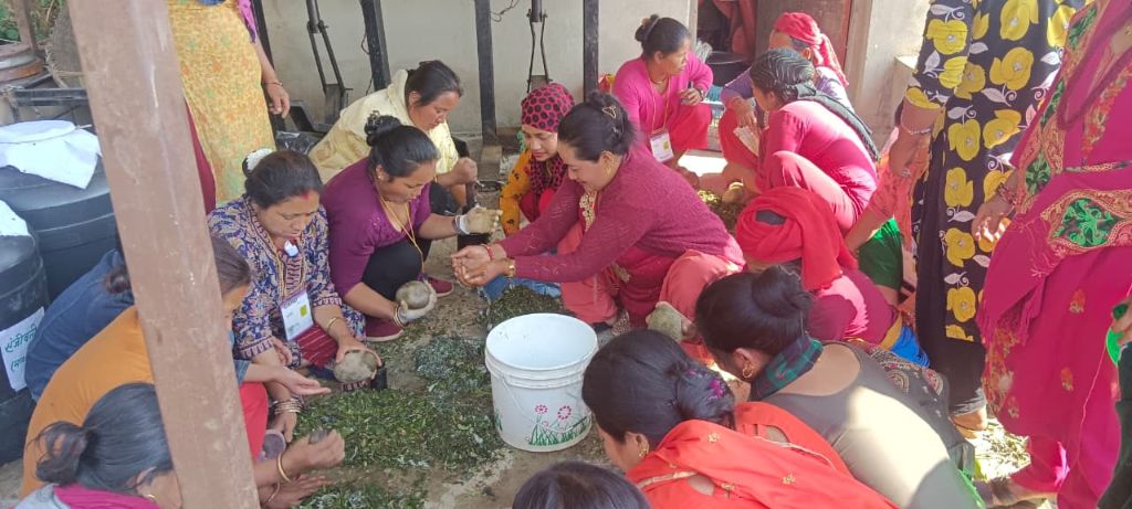 Women making organic compost balls in circle